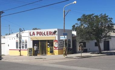 Local - Centenario