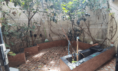 Rumah Luas Nyaman 2.5 Lantai Di Semper, Jakarta Utara