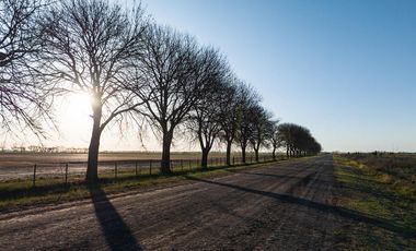 Cinco Lagos - Terreno - Ibarlucea - Barrio cerrado - Lote Esquina