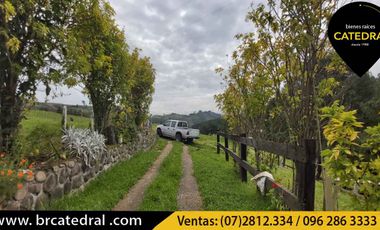 Quinta Hacienda de venta en Tarqui -  Manzano Pamba – código:20163