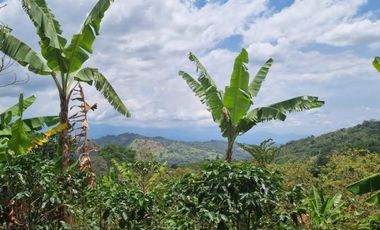 finca en venta en cachipay. Cod V12359
