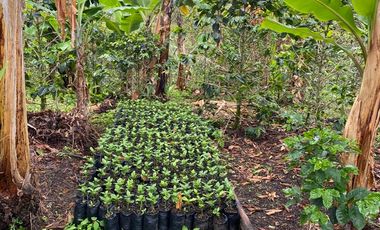 finca en venta en cachipay. Cod V12359
