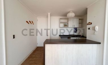 Departamento en Arriendo en Condominio Las Palmas