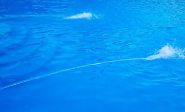 EXELENTE PROP.CON PISCINA