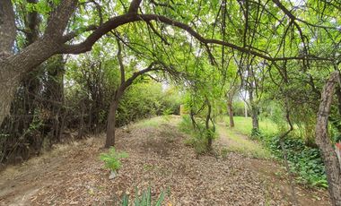 FINCA CON CASA SOBRE AV. LIBERTADOR 3.000