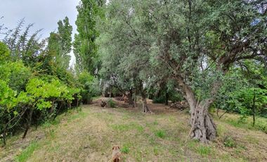 FINCA CON CASA SOBRE AV. LIBERTADOR 3.000
