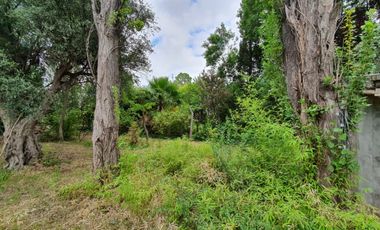 FINCA CON CASA SOBRE AV. LIBERTADOR 3.000