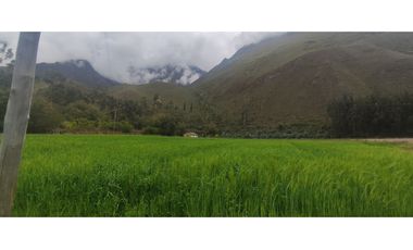 VENDO TERRENO DE 20,000 M2 CHILCA OLLANTAYTAMBO CUSCO PERU