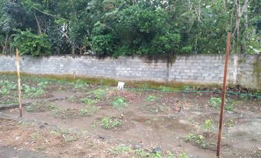 rumah mertoyudan indah 100 meter dari jalan pattimura