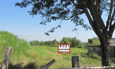 Tanah Besar RAYA WONOREJO 5000m2 Rungkut Surabaya Dkt OERR