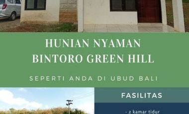 BINTORO GREEN HILL