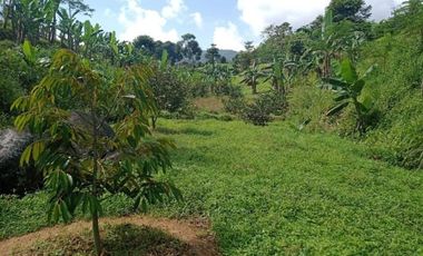 Tanah Lahan Kebun Dijual Cepat | Bogor timur