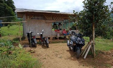 Tanah Lahan Kebun Dijual Cepat | Bogor timur