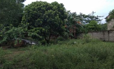 Rumah Tanah 2000 m Pinggir Jalan Raya Terbanggi Besar