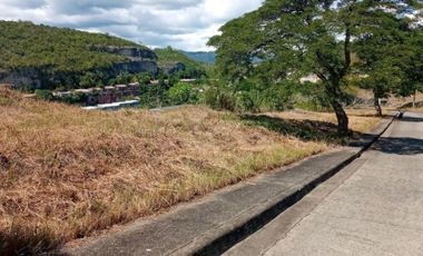 Overlooking 151 Sqm Lot for Sale in Aspen Heights Consolacion Cebu