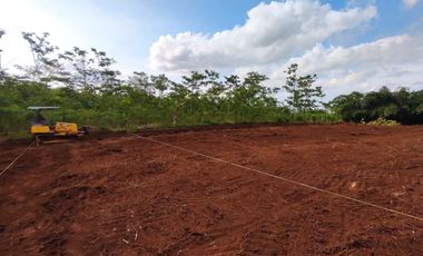 Timur RSUD Kajen Pekalongan, SHM Per Unit, Harga 60 Jt-an