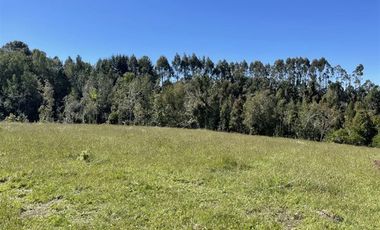 Parcela En Venta En Fresia Mirador Del Mañio