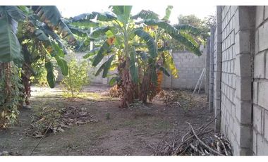 Lote Cerca al Aeropuerto Santa Marta Colombia