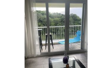 Alquilo Apartamento Amoblando en Cocoli $1000