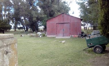 CAMPO CHACRA 12 HECTARIAS. PDO. LOBERIA