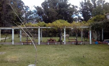 CAMPO CHACRA 12 HECTARIAS. PDO. LOBERIA