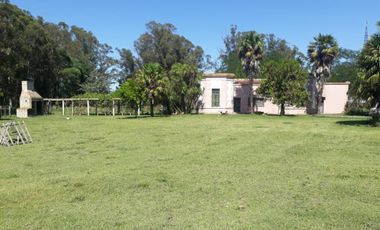 CAMPO CHACRA 12 HECTARIAS. PDO. LOBERIA