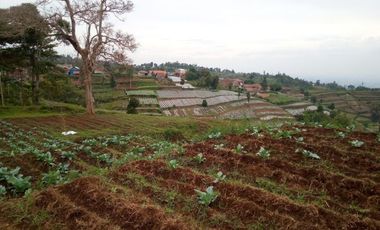 120 M2 Kavling Lembah & Bukit Rumah Kayu Kampung Hijau, PakuHaji, BISA DP & CICIL