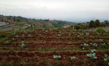 120 M2 Kavling Lembah & Bukit Rumah Kayu Kampung Hijau, PakuHaji, BISA DP & CICIL