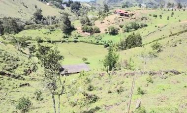 Venta Finca en Marinilla, 43.000 mts, con Pesebreras, Independiente