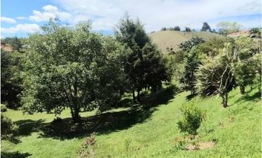 Venta Finca en Marinilla, 43.000 mts, con Pesebreras, Independiente