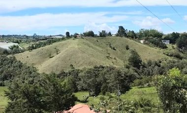 Venta Finca en Marinilla, 43.000 mts, con Pesebreras, Independiente