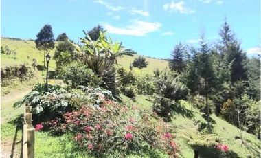 Venta Finca en Marinilla, 43.000 mts, con Pesebreras, Independiente