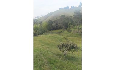 Venta Finca en Marinilla, 43.000 mts, con Pesebreras, Independiente