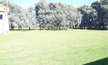 Excelente propiedad en el Parque industrial con todos los servicios. Apto diversos emprendimientos