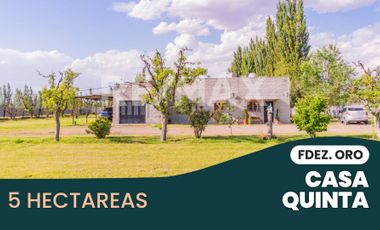 Casa quinta 5 hectareas en venta - Fernández Oro