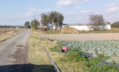 Huejotzingo Puebla Puebla TERRENO SOBRE AVENIDA