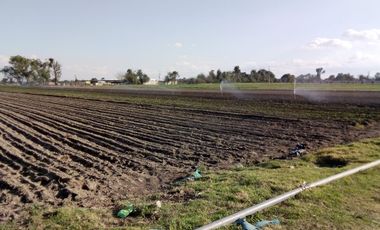 Huejotzingo Puebla Puebla TERRENO SOBRE AVENIDA