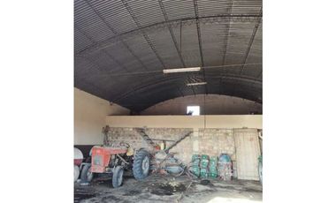 VENTA DE FINCA 50 HAS EN EL MIRADOR, RIVADAVIA, MZA .