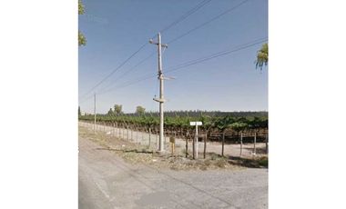 VENTA DE FINCA 50 HAS EN EL MIRADOR, RIVADAVIA, MZA .