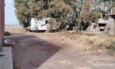 VENTA DE FINCA 50 HAS EN EL MIRADOR, RIVADAVIA, MZA .