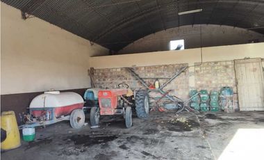 VENTA DE FINCA 50 HAS EN EL MIRADOR, RIVADAVIA, MZA .