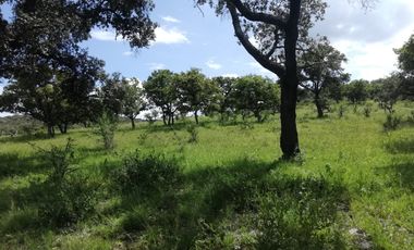 VENTA DE RANCHO 80 HECTAREAS A CAÑADAS DE OBREGON