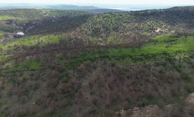 VENTA DE RANCHO 80 HECTAREAS A CAÑADAS DE OBREGON