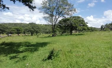 VENTA DE RANCHO 80 HECTAREAS A CAÑADAS DE OBREGON