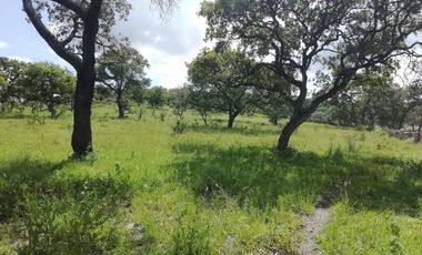 VENTA DE RANCHO 80 HECTAREAS A CAÑADAS DE OBREGON