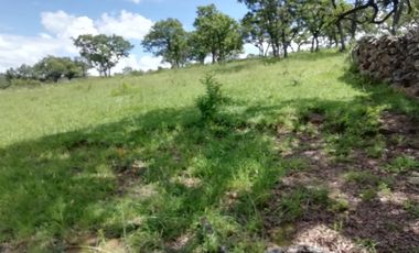 VENTA DE RANCHO 80 HECTAREAS A CAÑADAS DE OBREGON