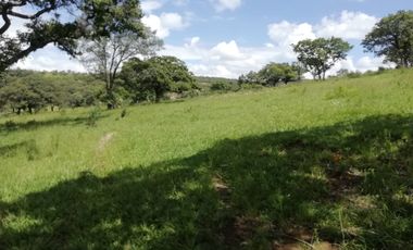 VENTA DE RANCHO 80 HECTAREAS A CAÑADAS DE OBREGON