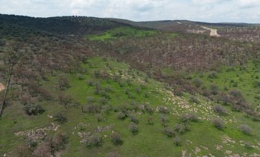 VENTA DE RANCHO 80 HECTAREAS A CAÑADAS DE OBREGON