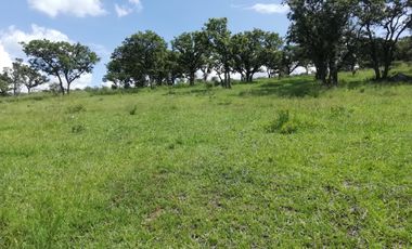 VENTA DE RANCHO 80 HECTAREAS A CAÑADAS DE OBREGON