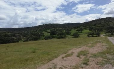 VENTA DE RANCHO 80 HECTAREAS A CAÑADAS DE OBREGON